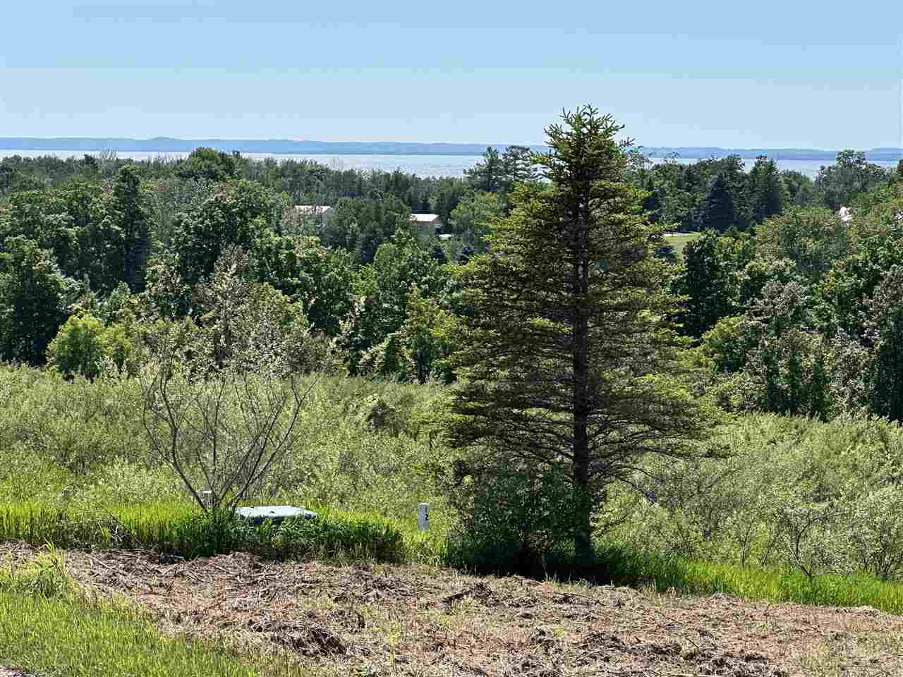 12 Foxview Drive Charlevoix MI 49720