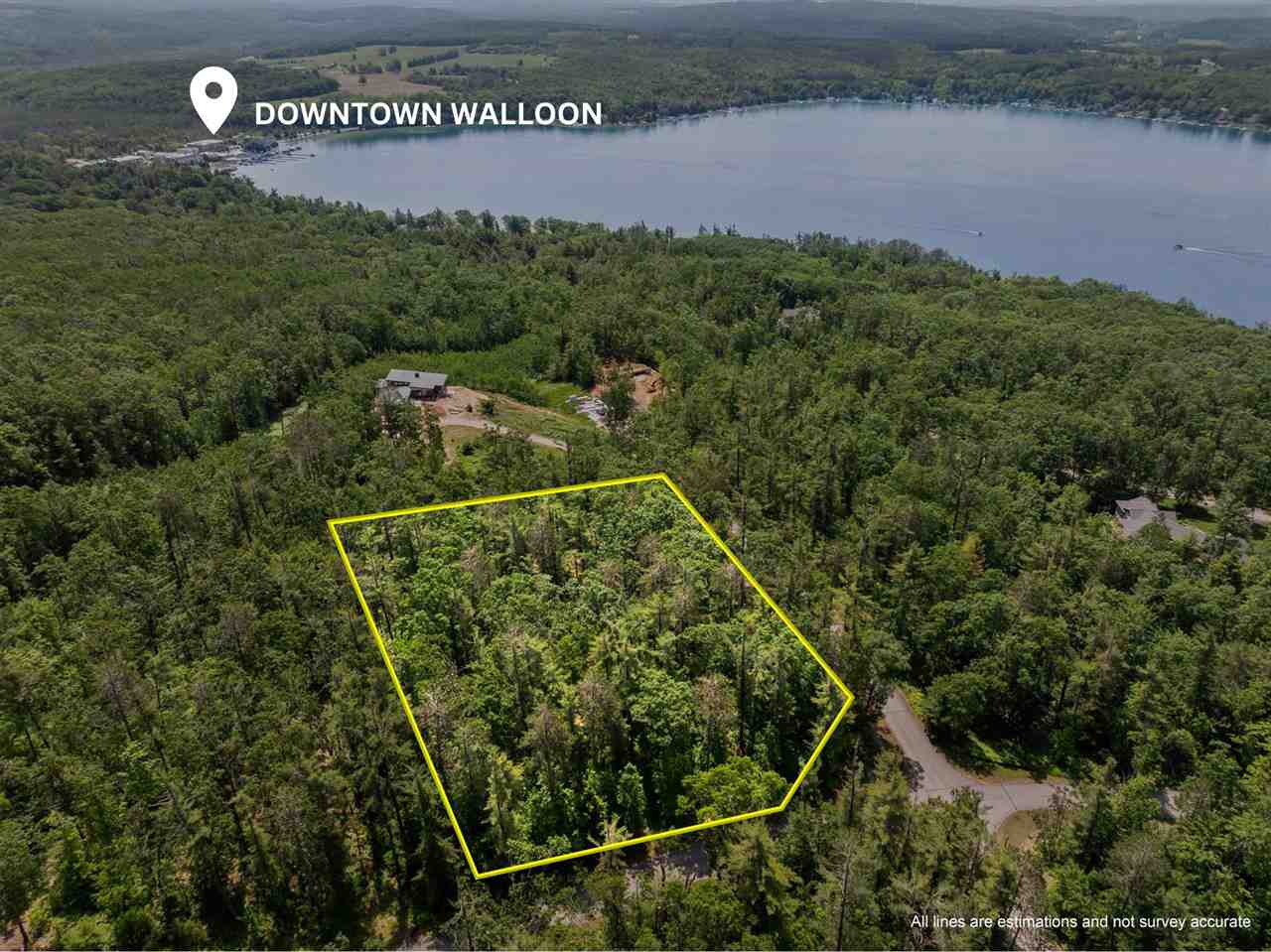 Lot 9 Vistas Of Walloon Walloon MI 49770
