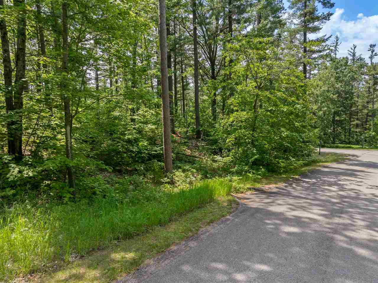 Lot 9 Vistas Of Walloon Walloon MI 49770