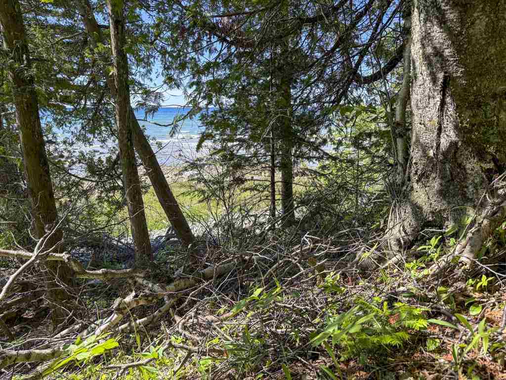 Unit 1 South End Road Beaver Island MI 49782