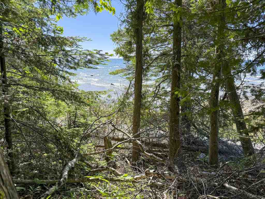 Unit 1 South End Road Beaver Island MI 49782