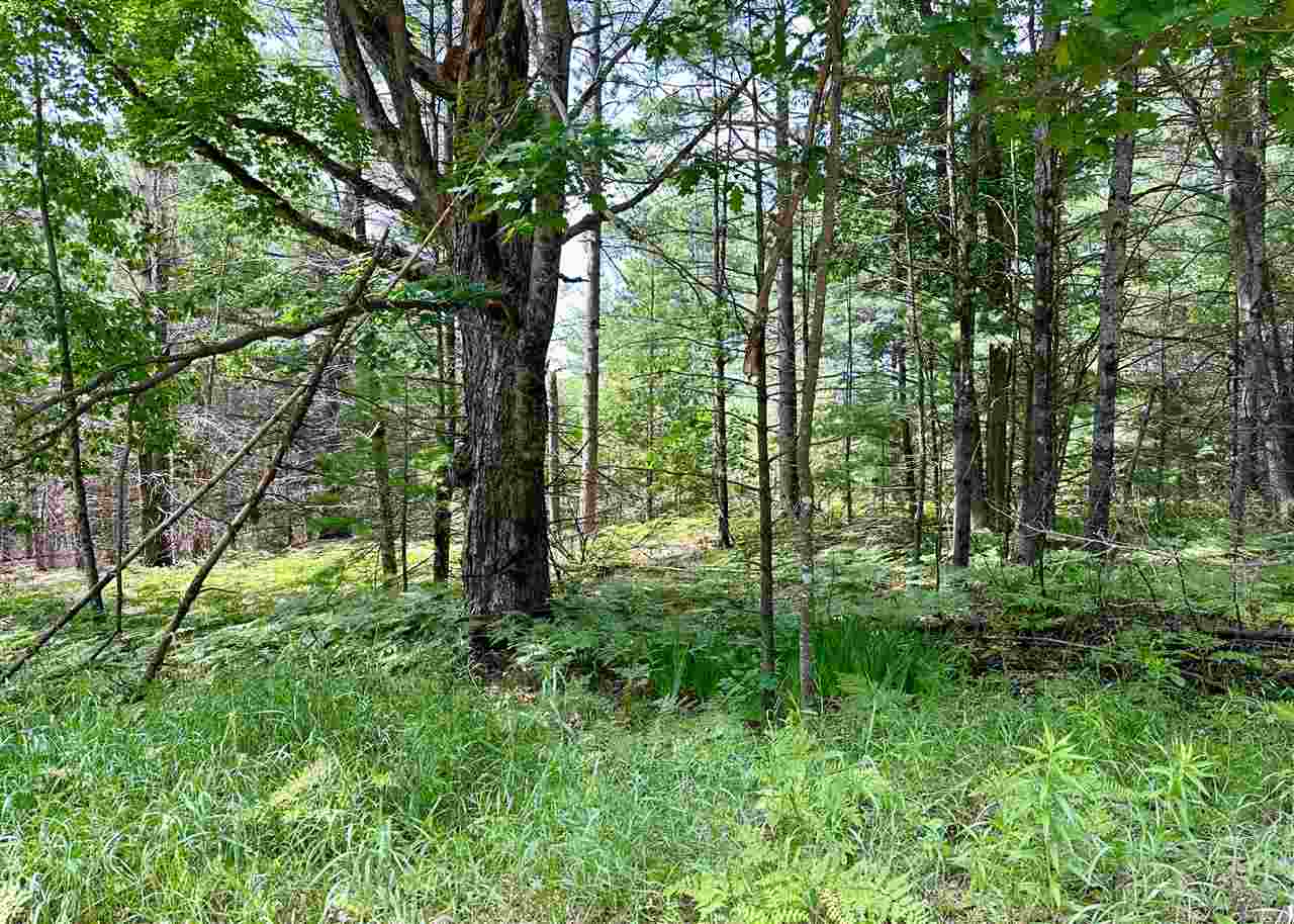 8472 Mcintosh Road Millersburg MI 40759