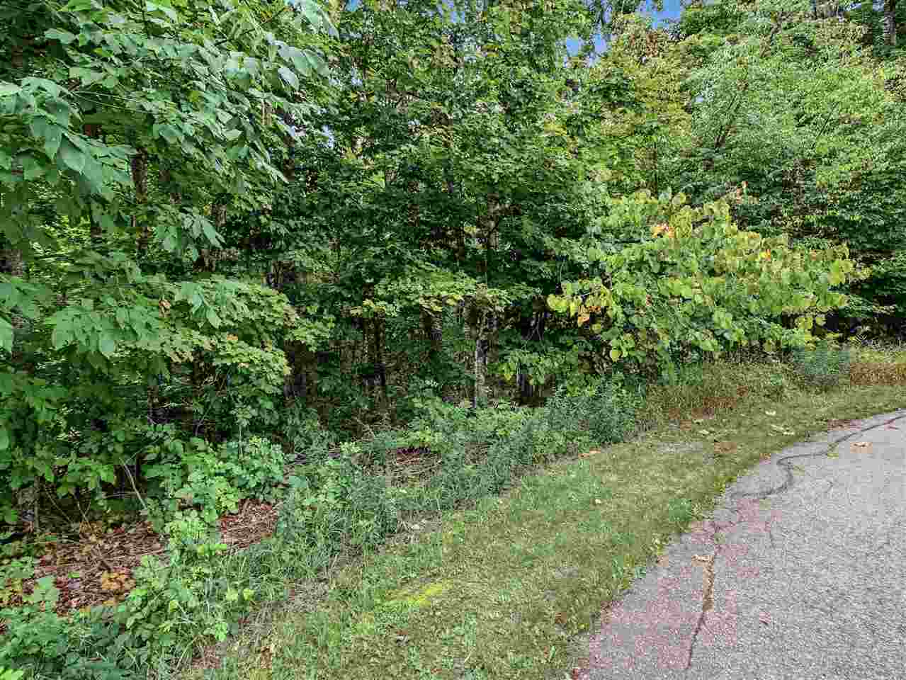 0000 Chapel Hill Drive Petoskey MI 49770