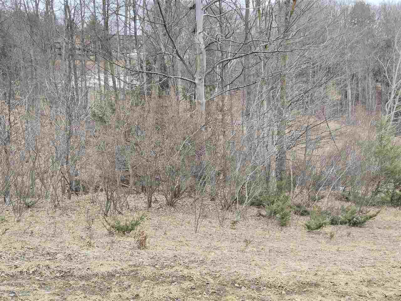 Lot A N Crossover Drive Bellaire MI 49615-9248