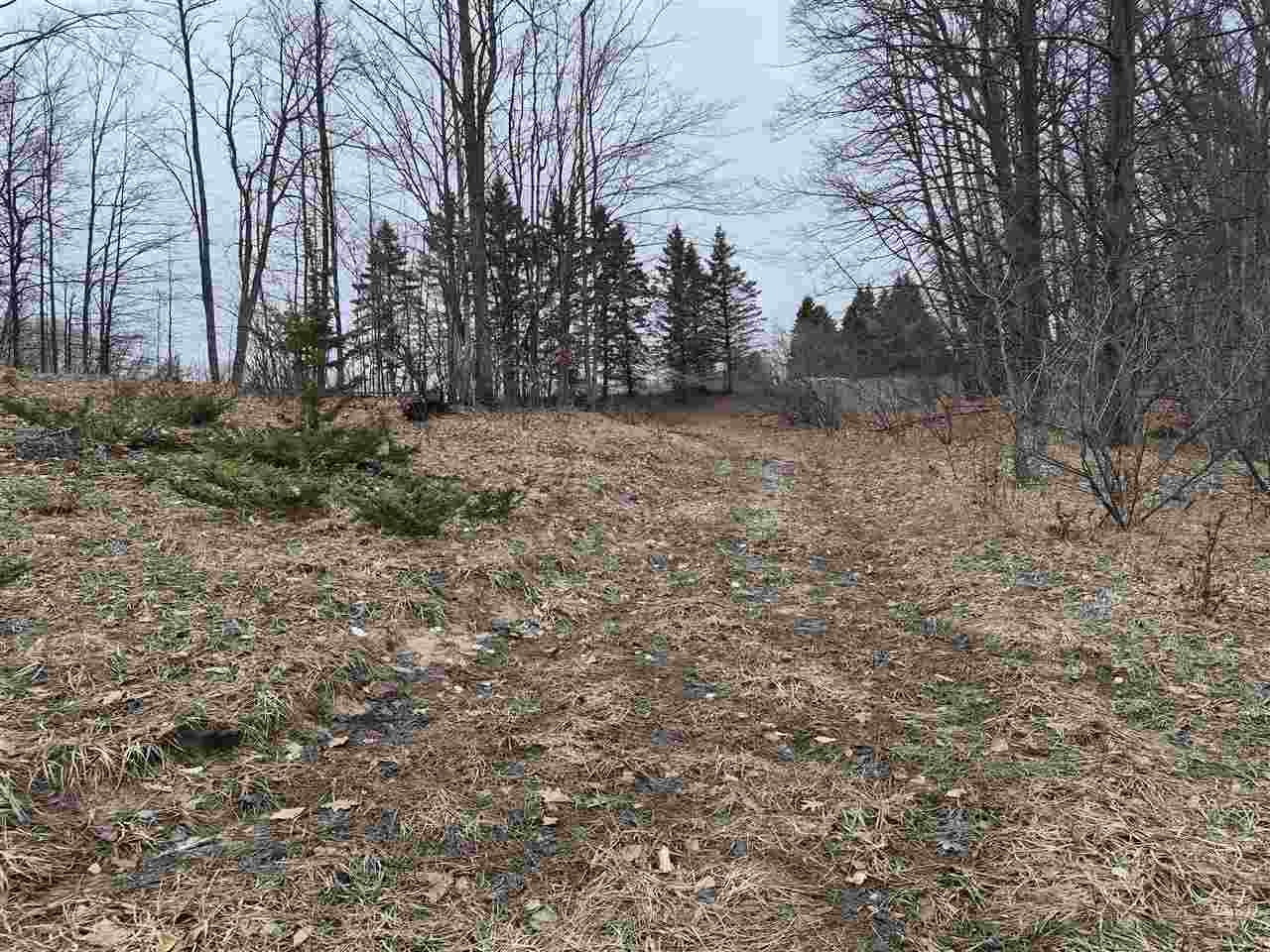 Lot A N Crossover Drive Bellaire MI 49615-9248