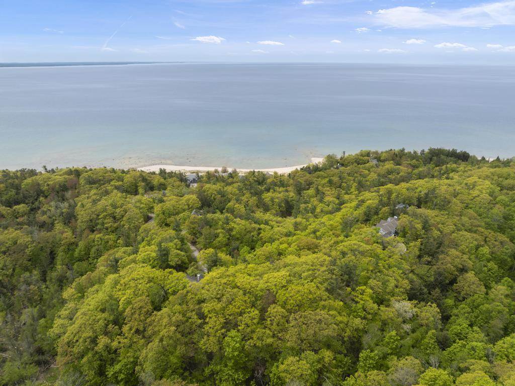 8385 Seven Mile Point Court Harbor Springs MI 49740