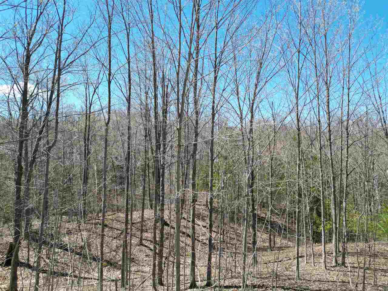 1275 Lone Oak Court Petoskey MI 49770