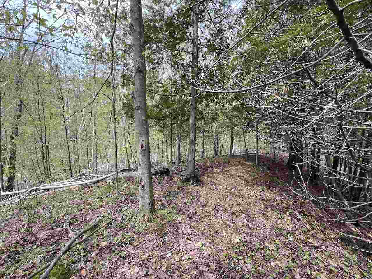 1275 Lone Oak Court Petoskey MI 49770