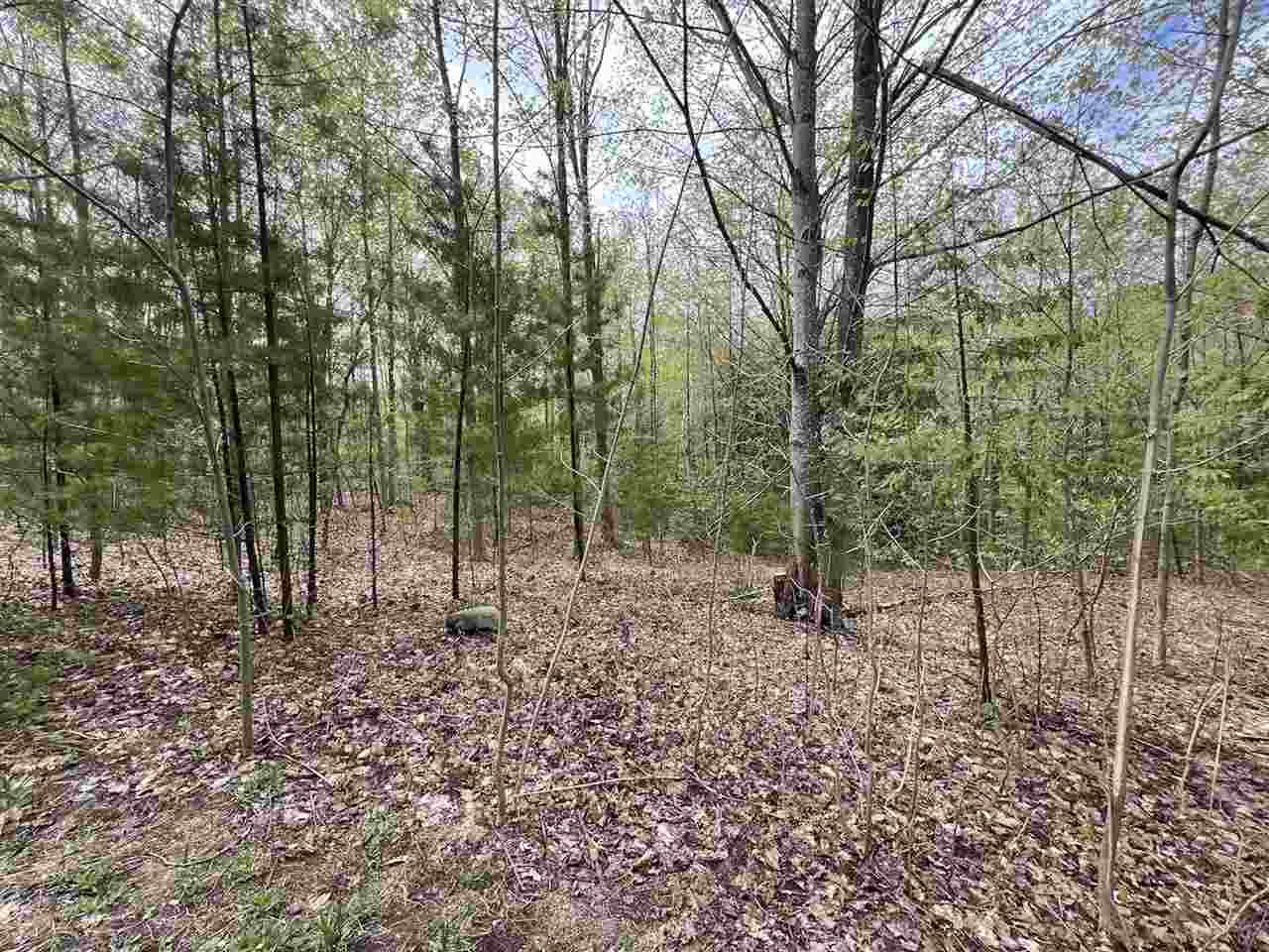 1275 Lone Oak Court Petoskey MI 49770