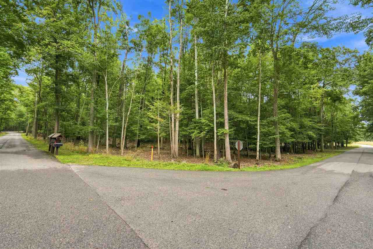1358 Timber Pass Harbor Springs MI 49740