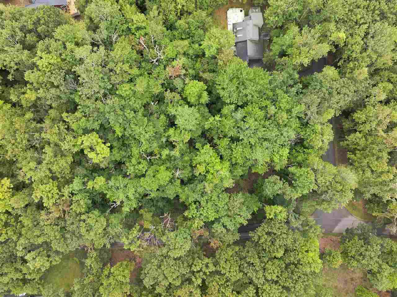 1358 Timber Pass Harbor Springs MI 49740