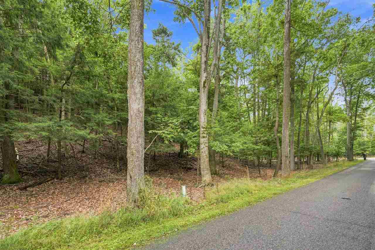 1358 Timber Pass Harbor Springs MI 49740