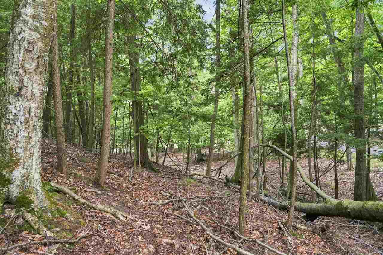 1358 Timber Pass Harbor Springs MI 49740