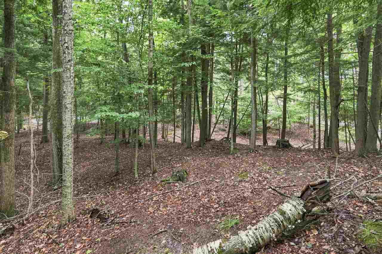 1358 Timber Pass Harbor Springs MI 49740