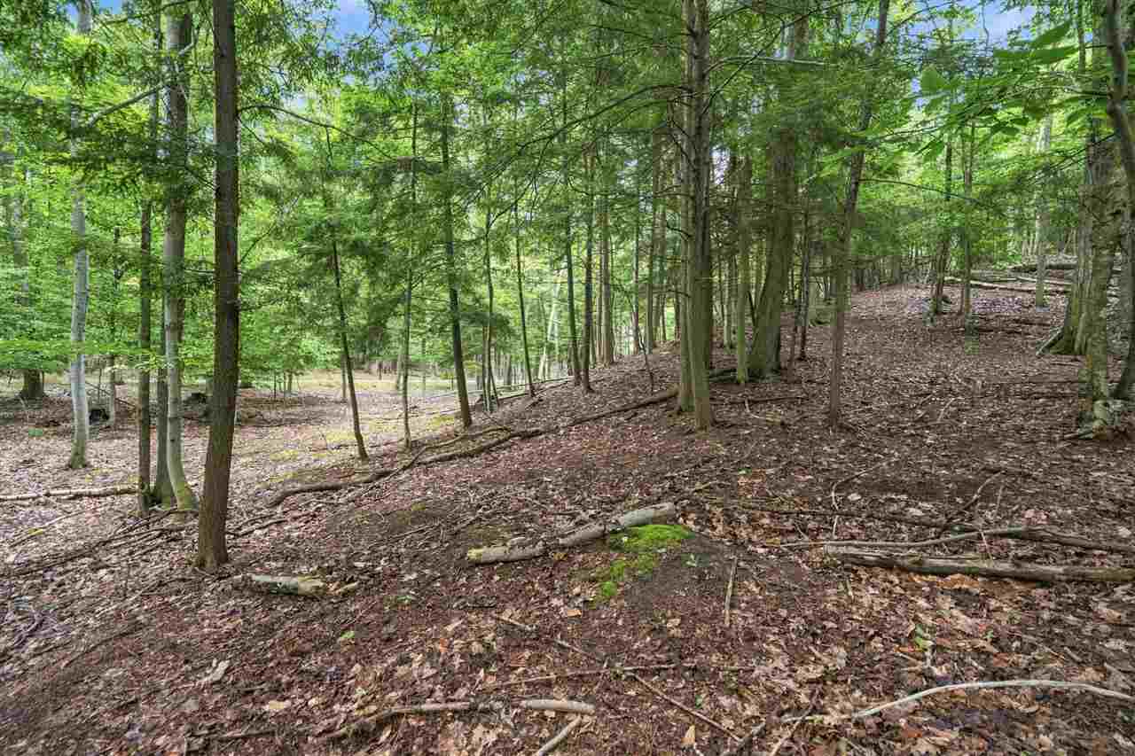 1358 Timber Pass Harbor Springs MI 49740