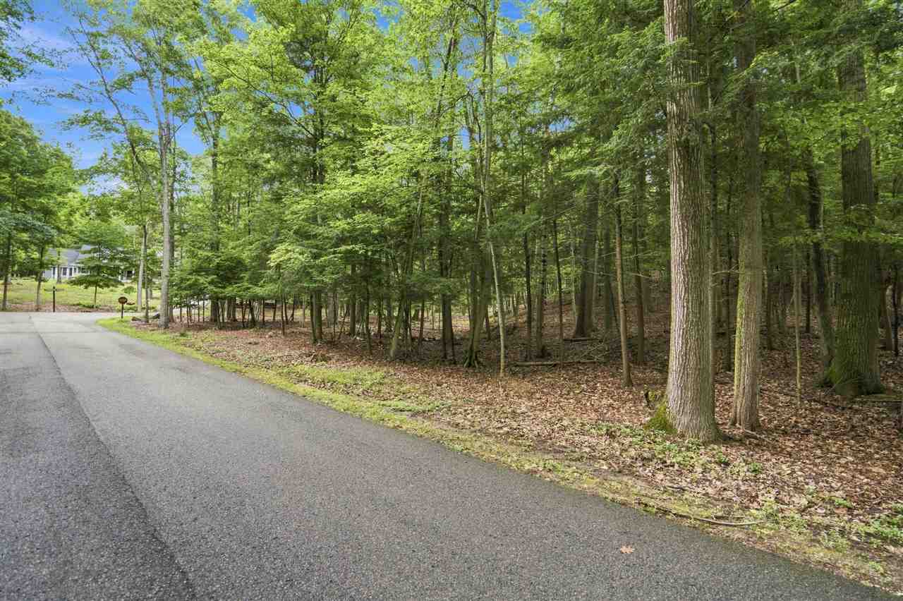 1358 Timber Pass Harbor Springs MI 49740