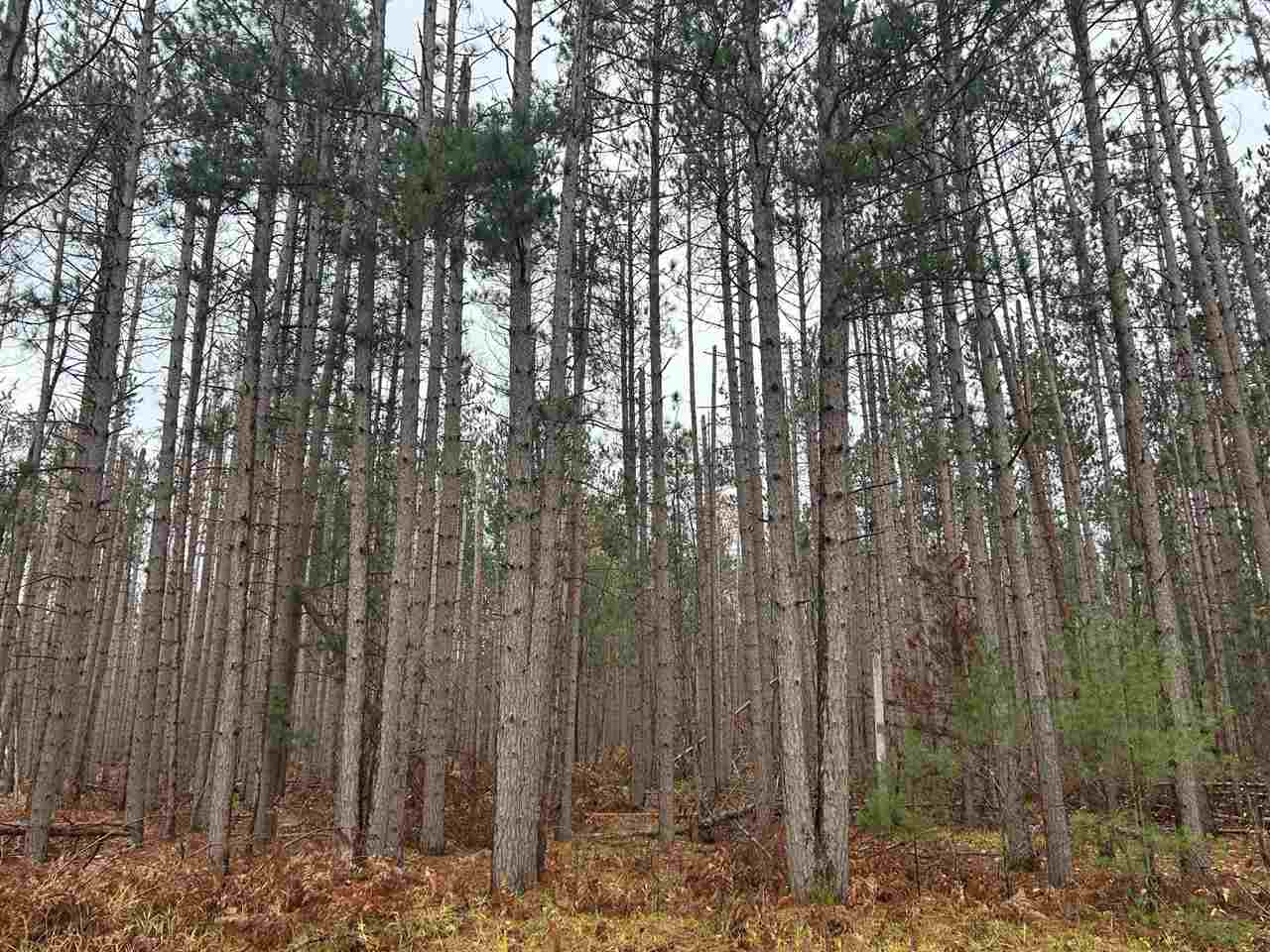 0000 Michaywe Drive Gaylord MI 49735