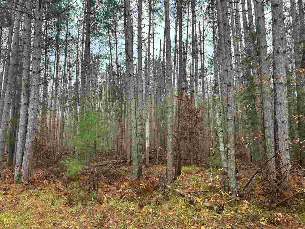 0000 Michaywe Drive Gaylord MI 49735