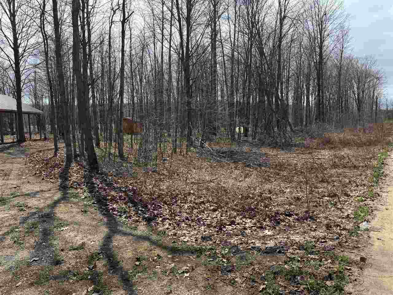 5727 Shady Lane Harbor Springs MI 49740