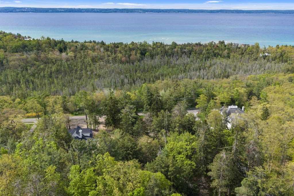 592 W Bluff Drive Harbor Springs MI 49770-000