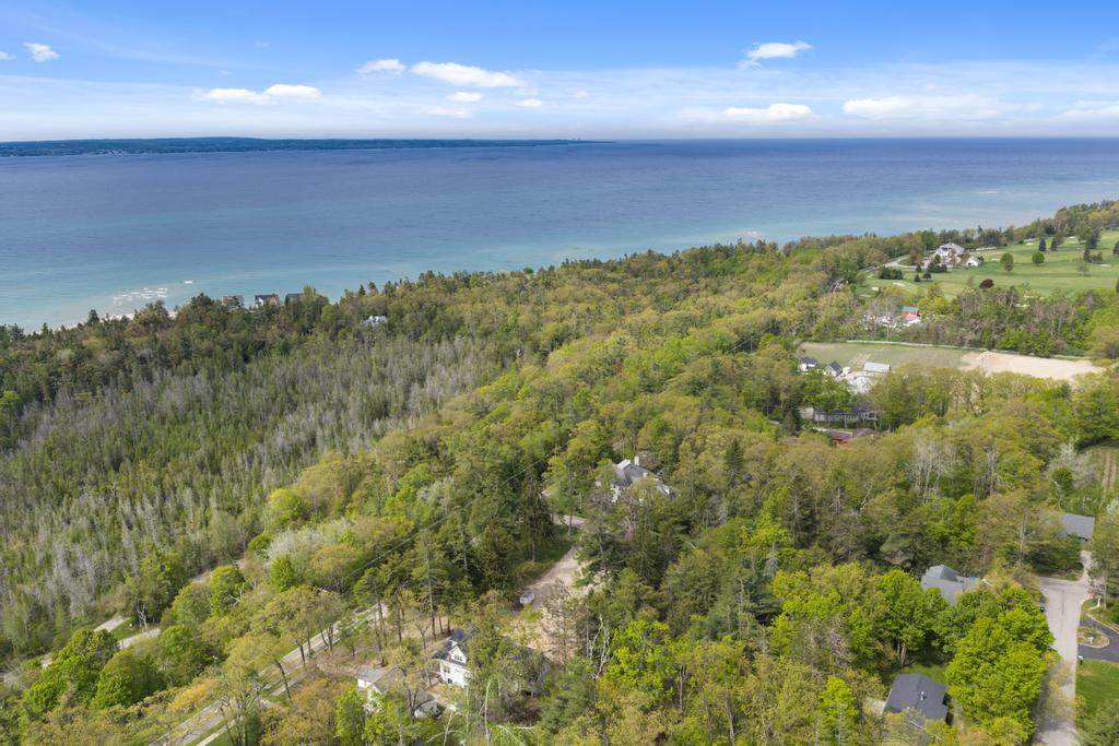 592 W Bluff Drive Harbor Springs MI 49770-000