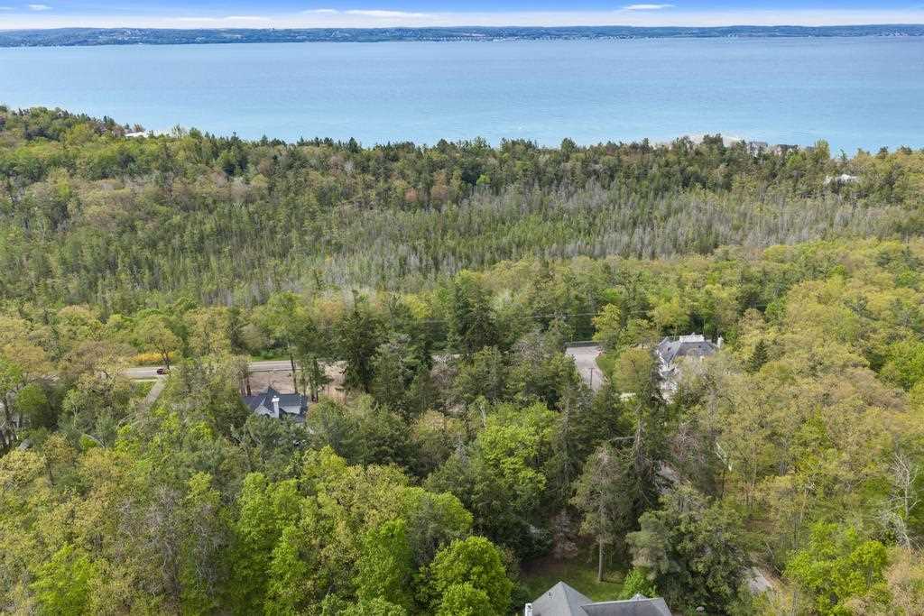 592 W Bluff Drive Harbor Springs MI 49770-000