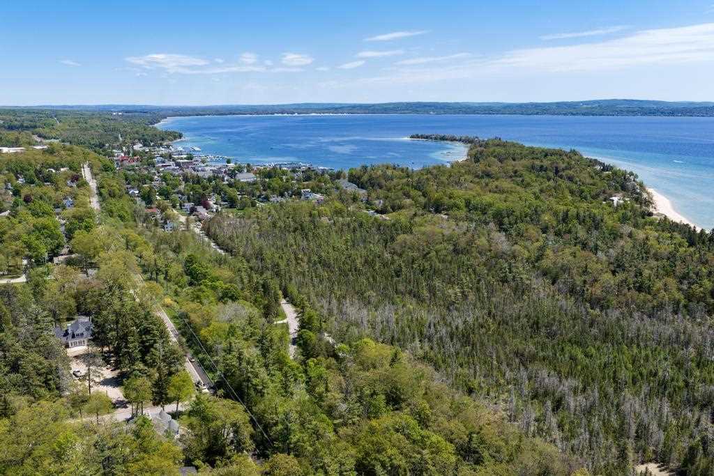 592 W Bluff Drive Harbor Springs MI 49770-000