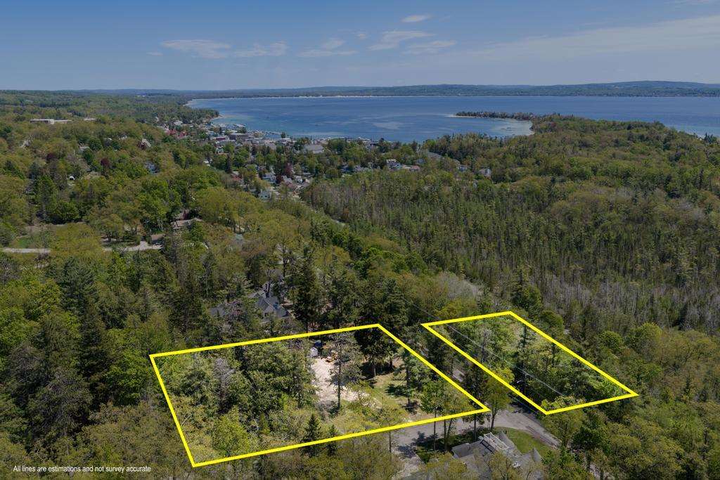 592 W Bluff Drive Harbor Springs MI 49770-000