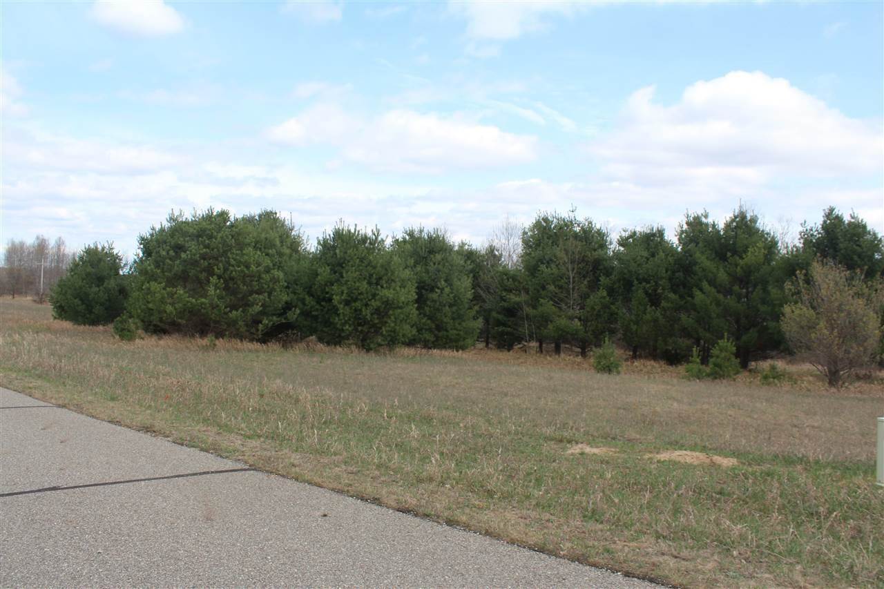 10 E Bettman Boyne Falls MI 49713