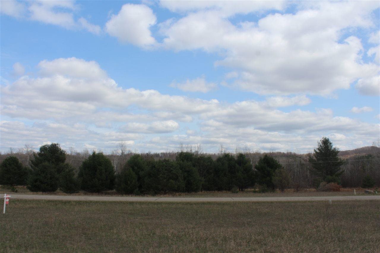 10 E Bettman Boyne Falls MI 49713