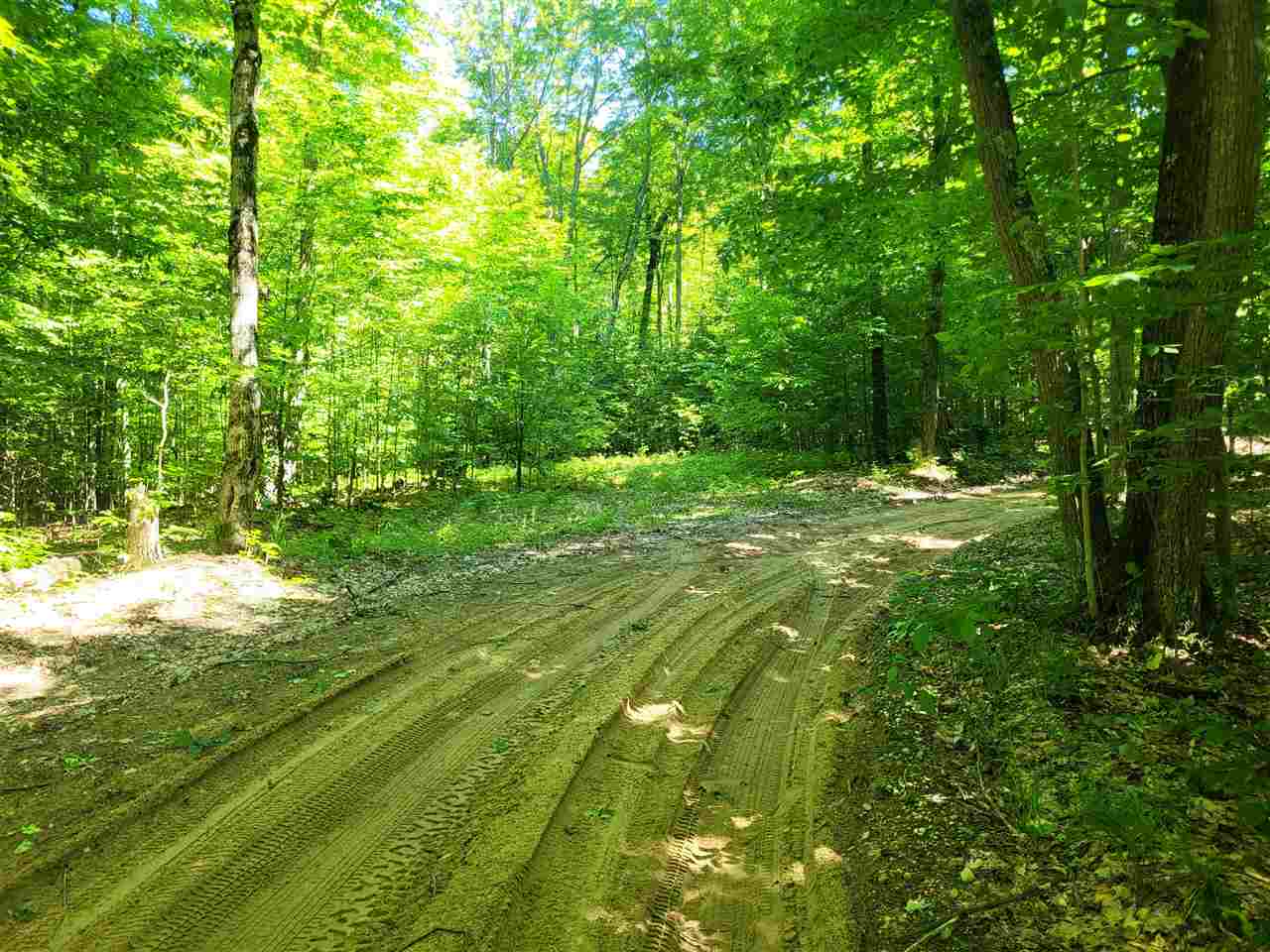 Tbd Shumaker Road Bellaire MI 49659