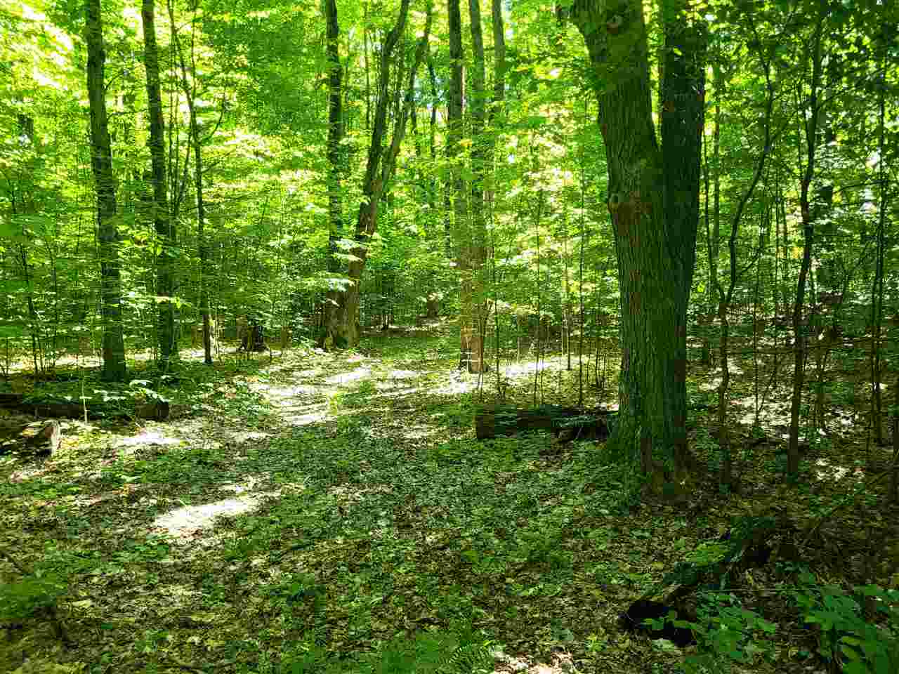 Tbd Shumaker Road Bellaire MI 49659