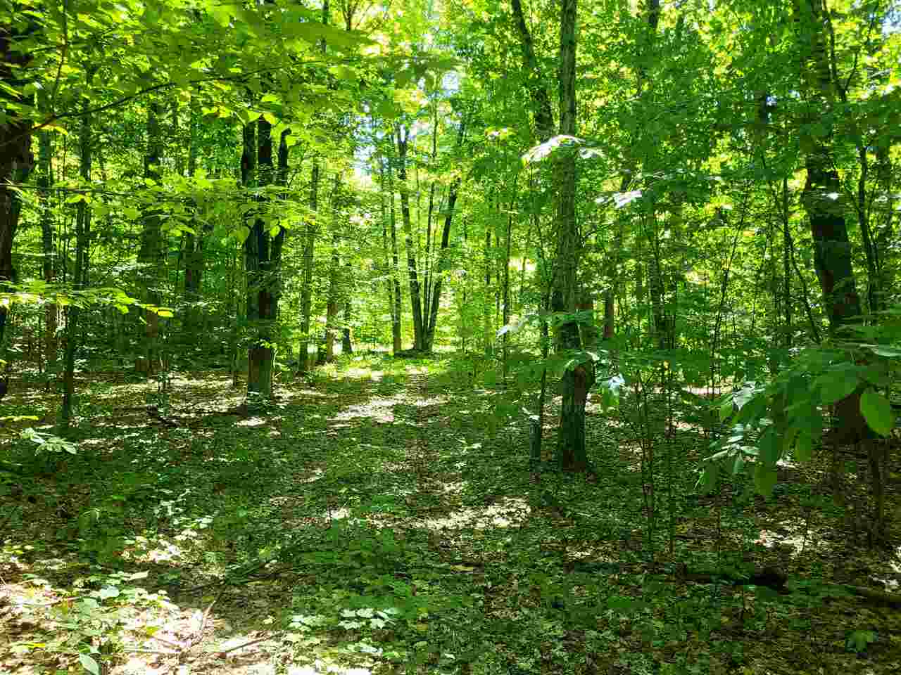 Tbd Shumaker Road Bellaire MI 49659