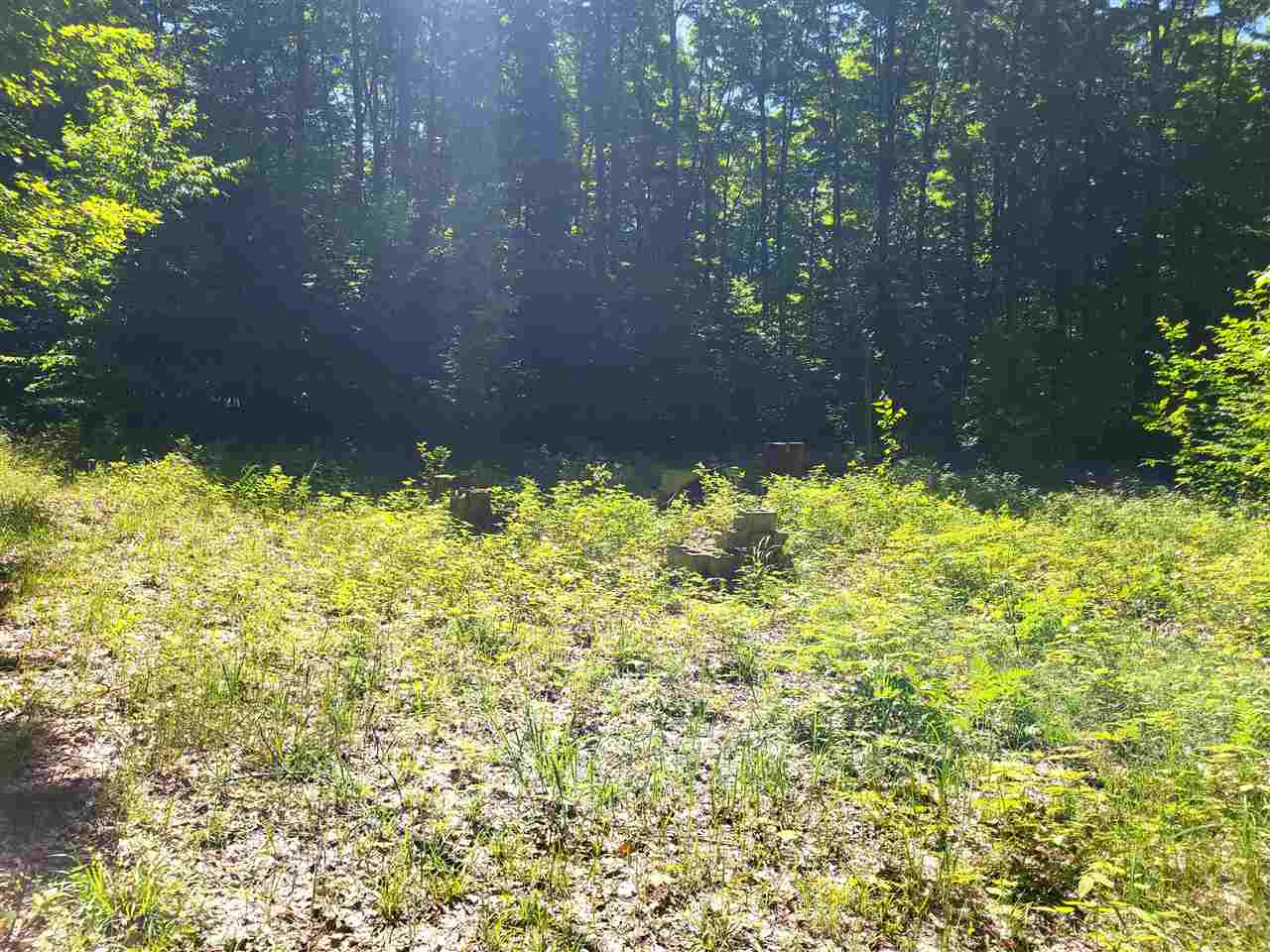 Tbd Shumaker Road Bellaire MI 49659