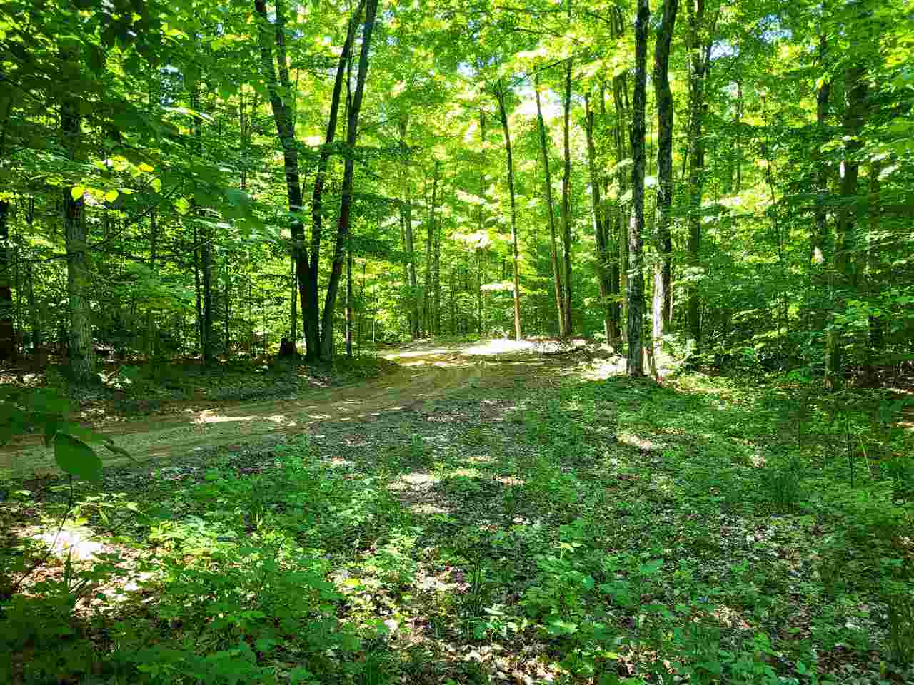 Tbd Shumaker Road Bellaire MI 49659