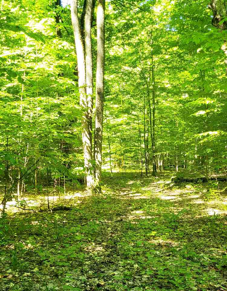 Tbd Shumaker Road Bellaire MI 49659
