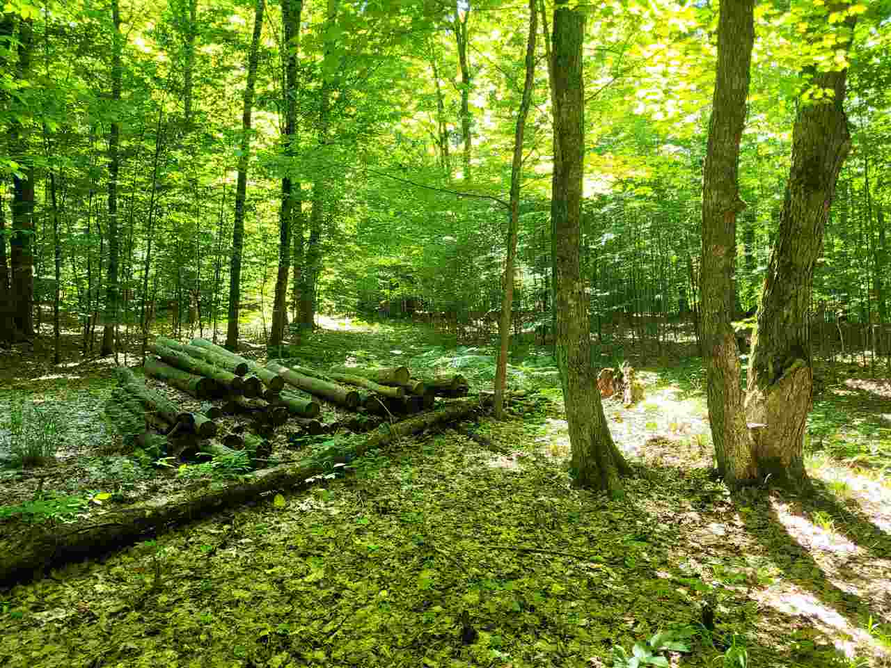 Tbd Shumaker Road Bellaire MI 49659