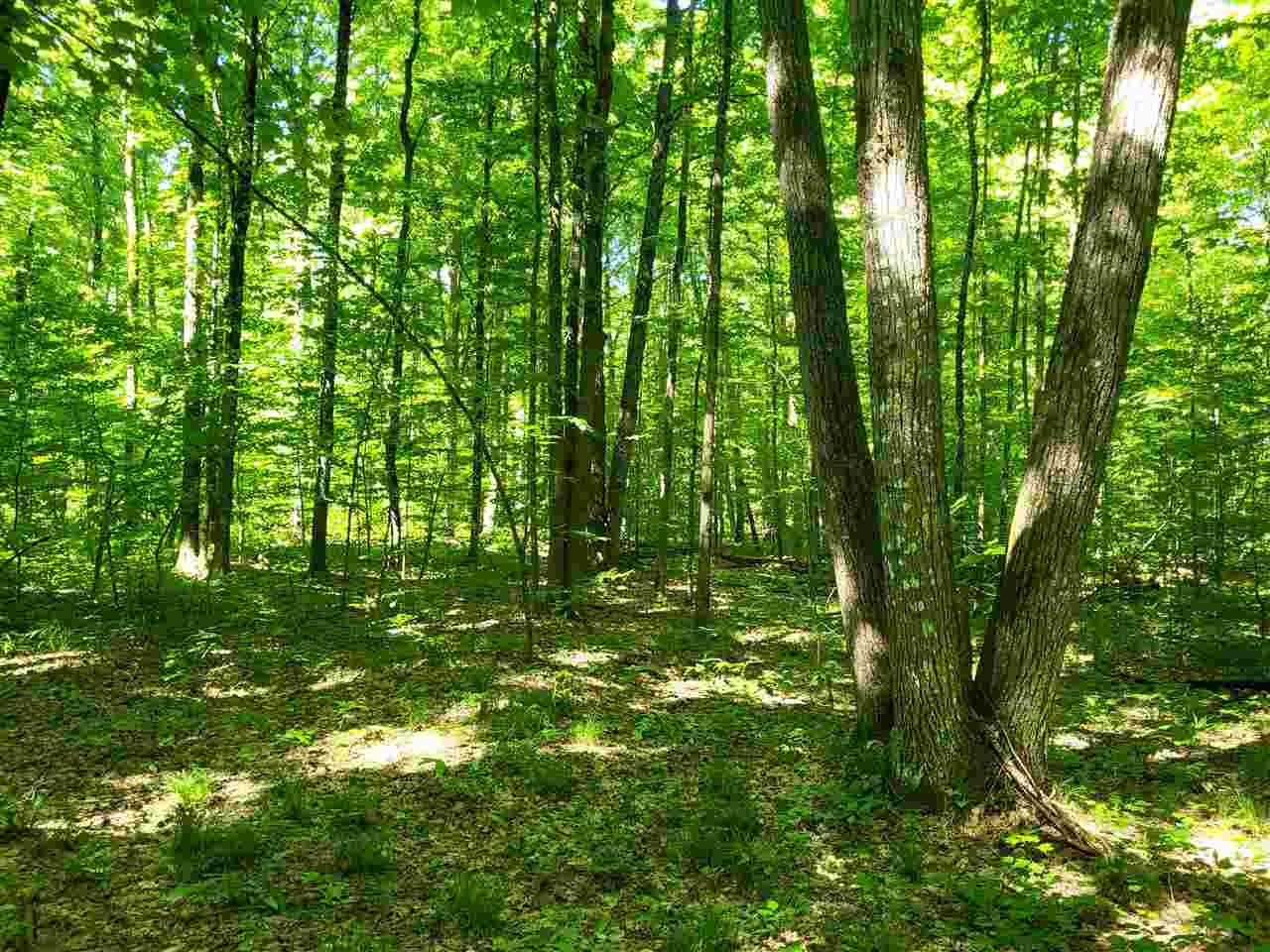 Tbd Shumaker Road Bellaire MI 49659