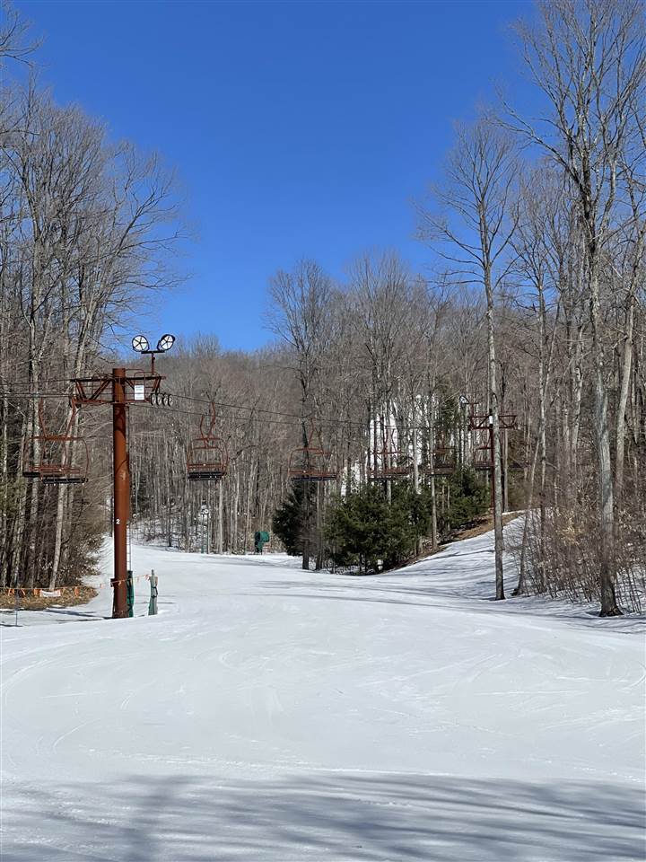 6030 Trillium Woods Drive Harbor Springs MI 49740-0000