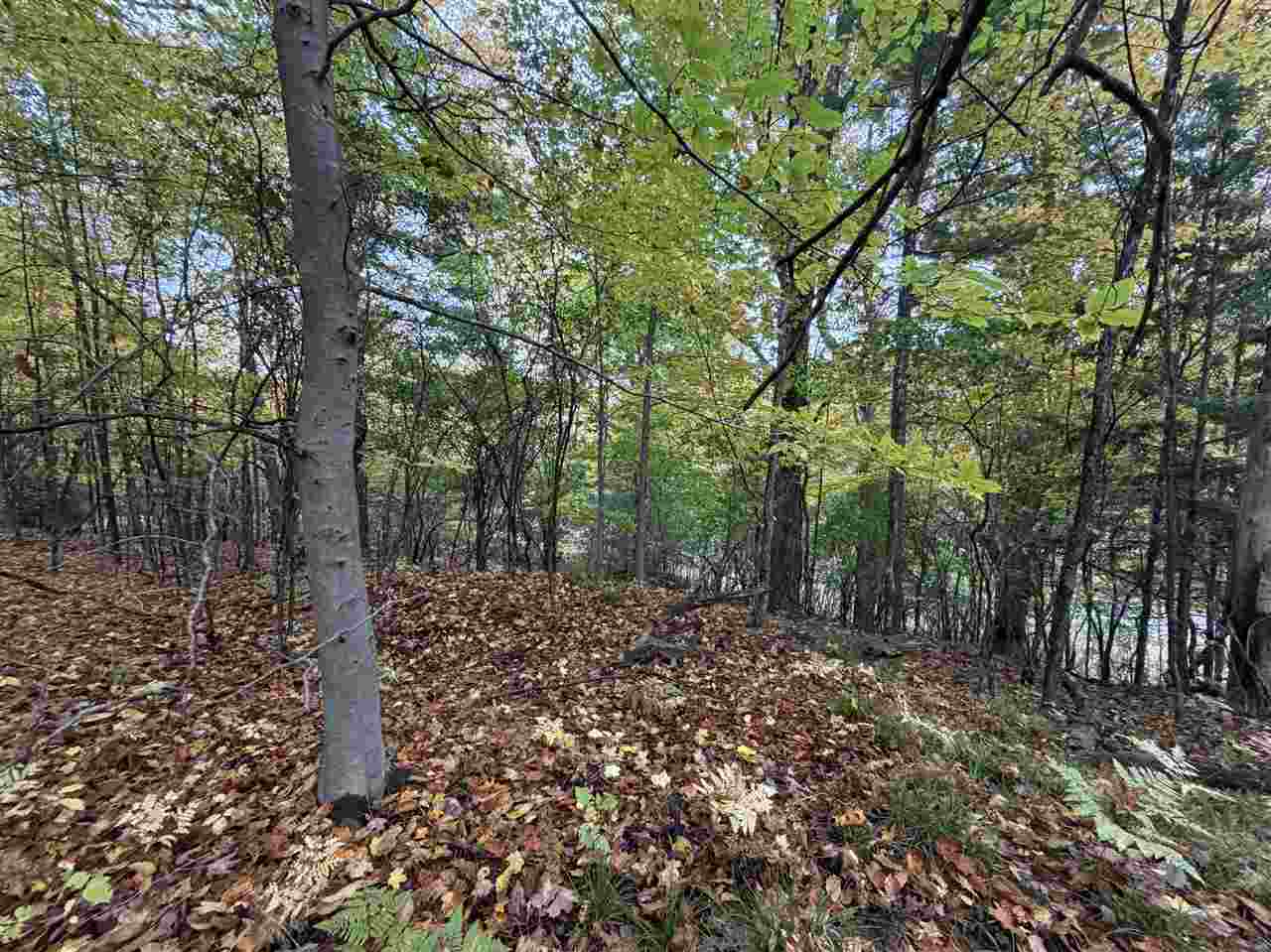 625 Nicholls Street East Jordan MI 49727