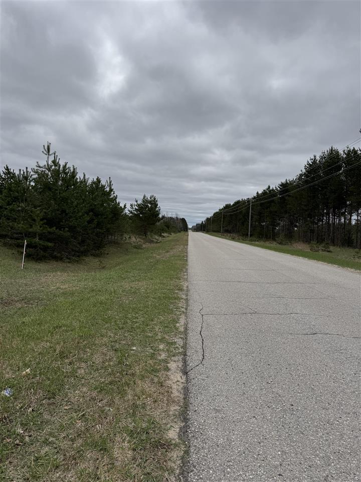 Ville Bailey Road Mancelona MI 49629