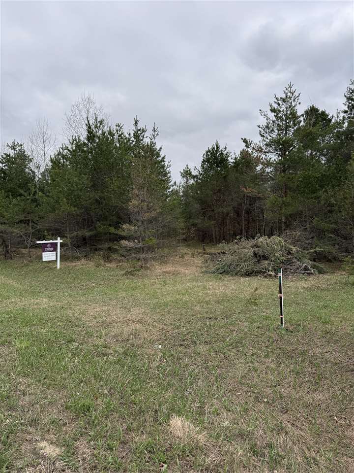 Ville Bailey Road Mancelona MI 49629