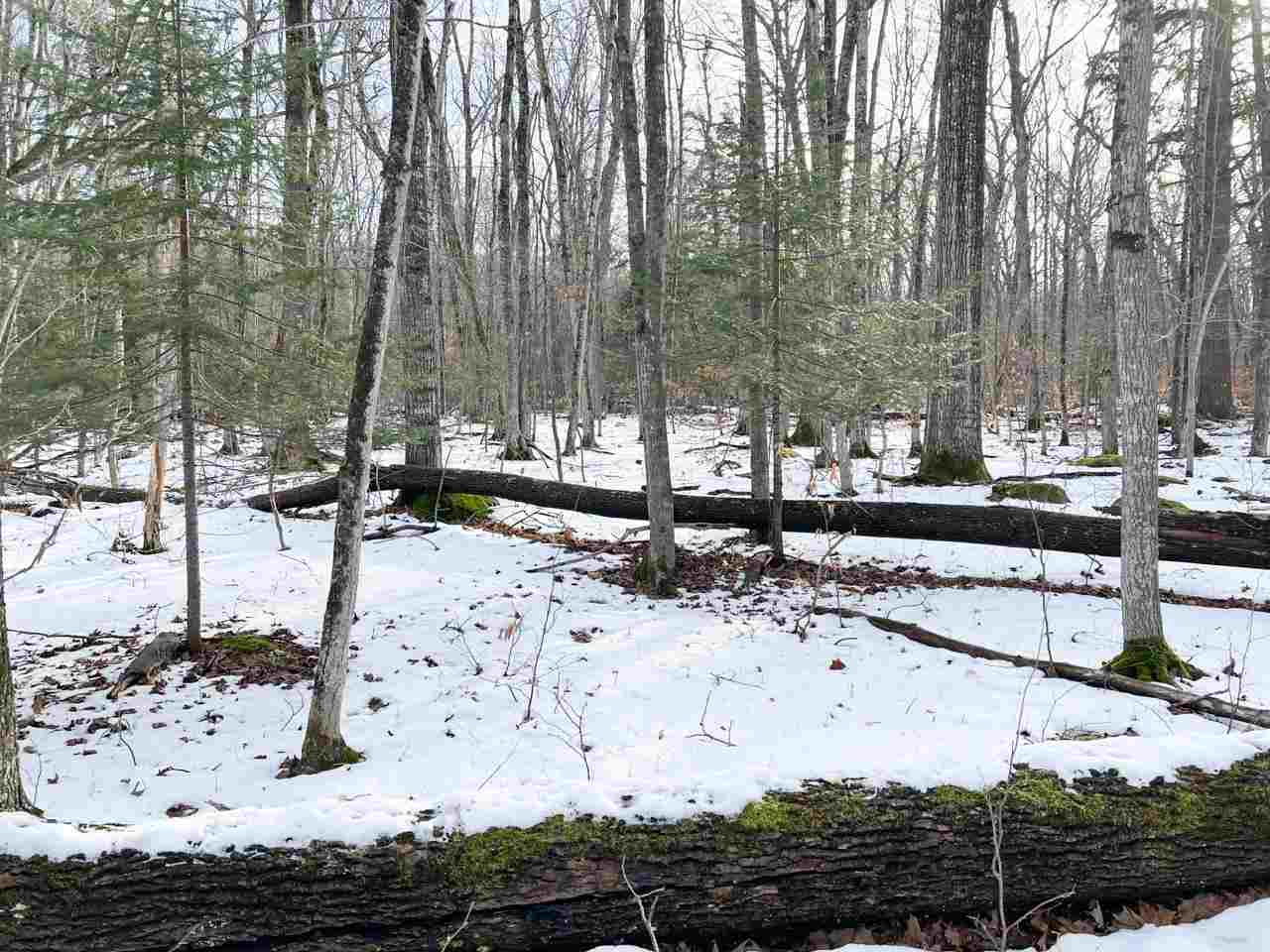 Tbd Greene's Bay Drive, Parcel 17b Beaver Island MI 49782