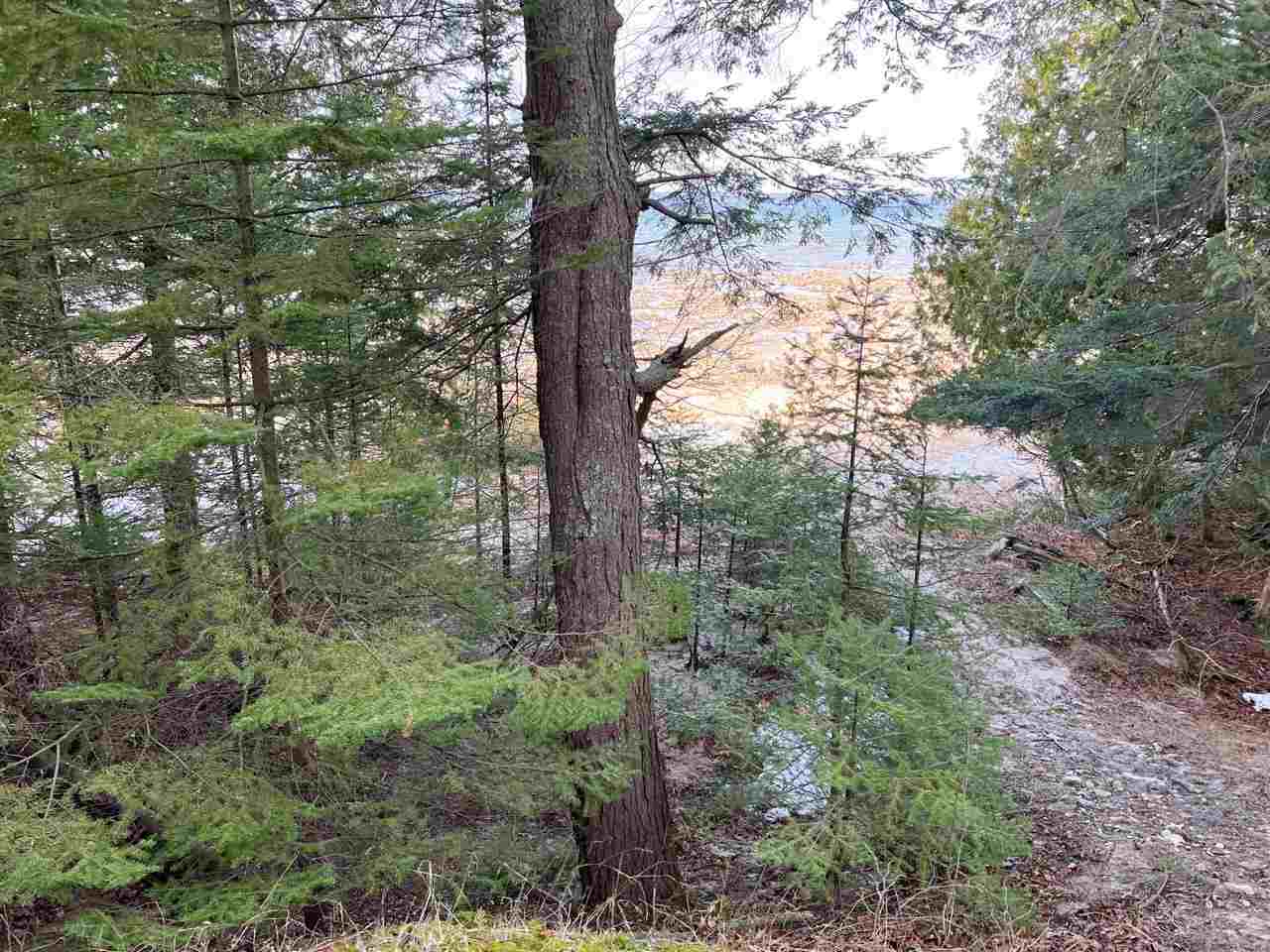 Tbd Greene's Bay Drive, Parcel 17b Beaver Island MI 49782