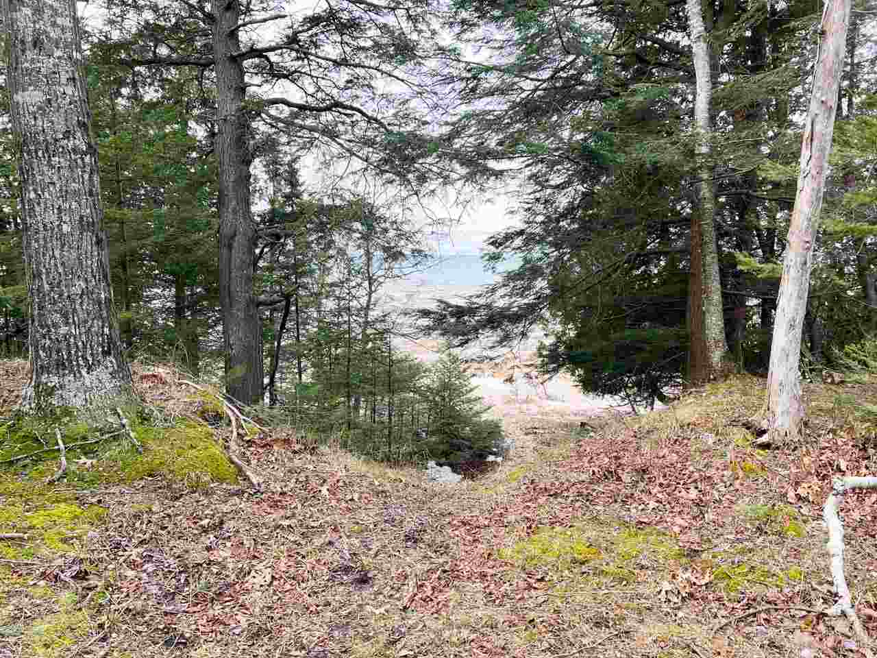 Tbd Greene's Bay Drive, Parcel 17b Beaver Island MI 49782