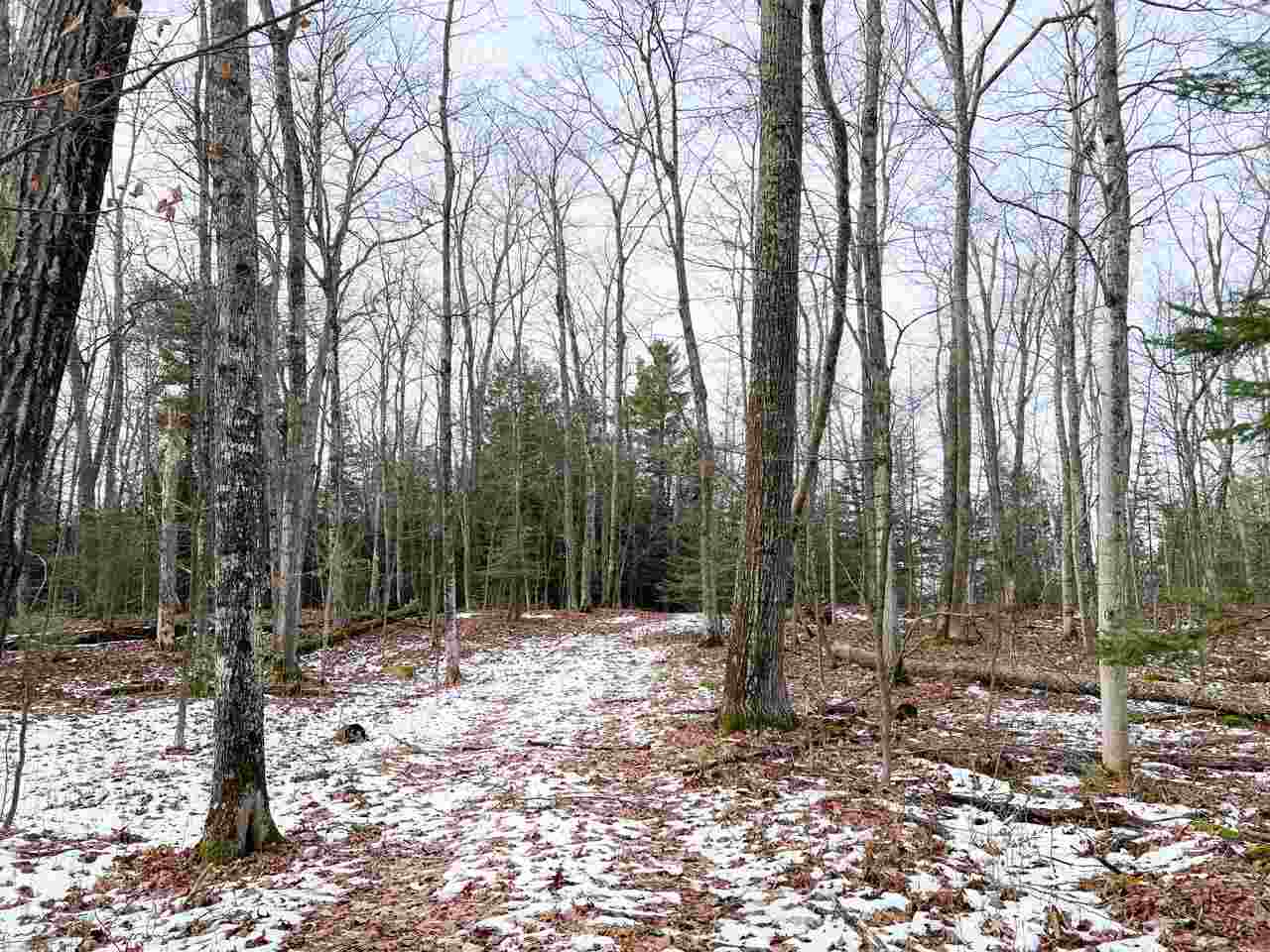 Tbd Greene's Bay Drive, Parcel 17b Beaver Island MI 49782