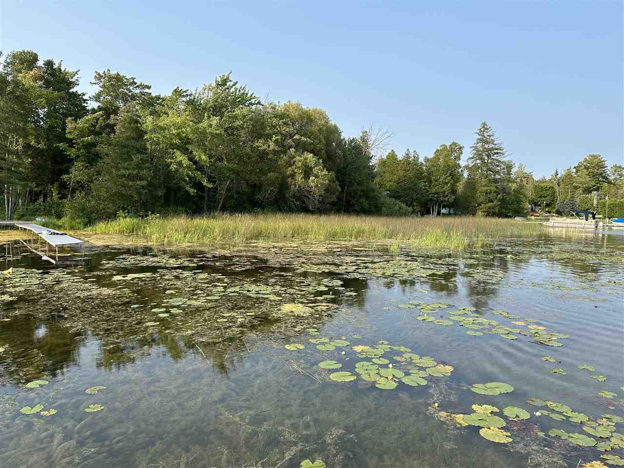 5076 Oden Road Alanson MI 49706