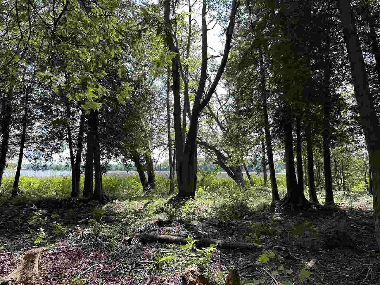 5076 Oden Road Alanson MI 49706