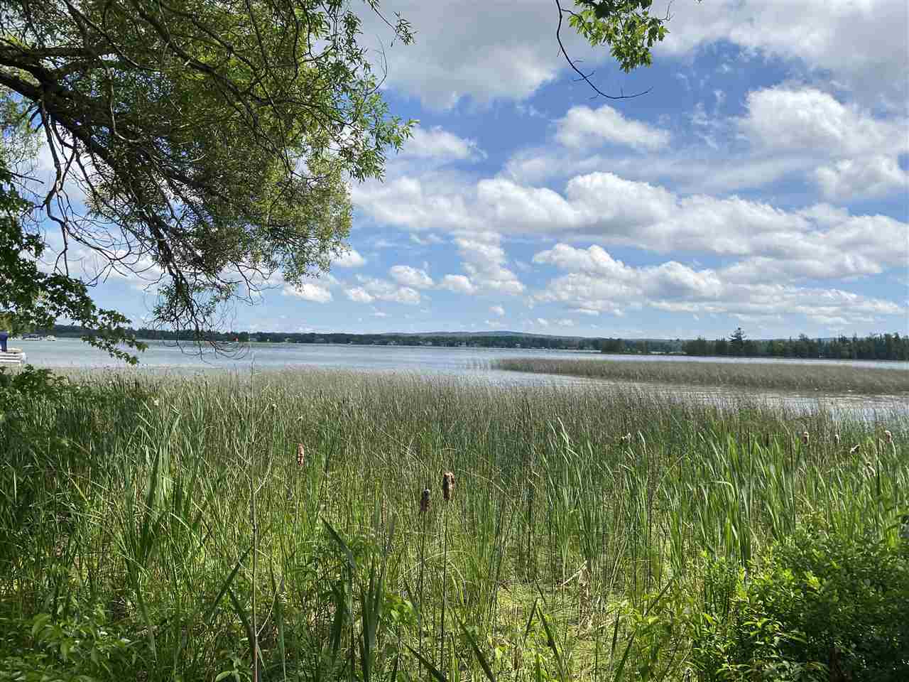 5076 Oden Road Alanson MI 49706