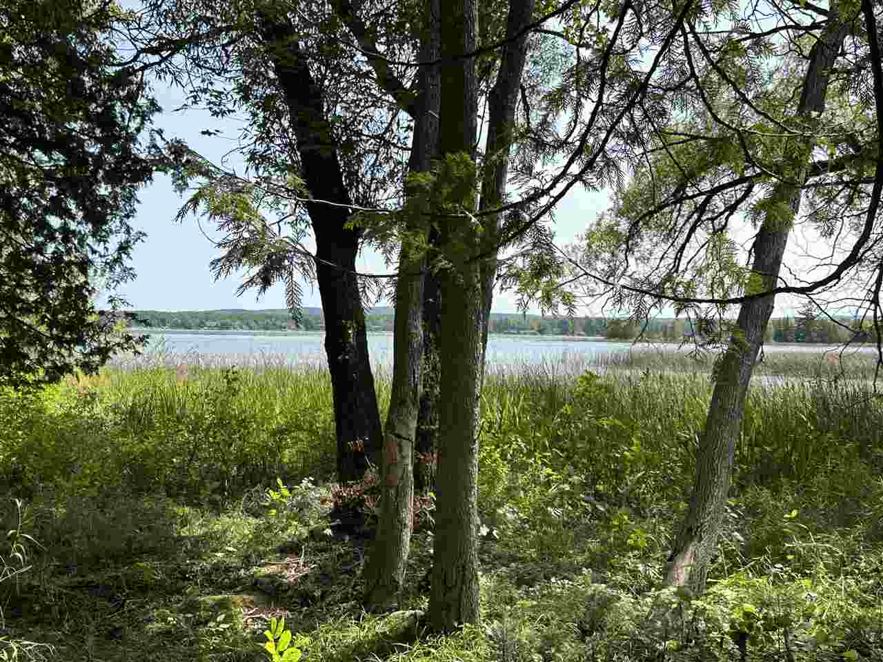 5076 Oden Road Alanson MI 49706